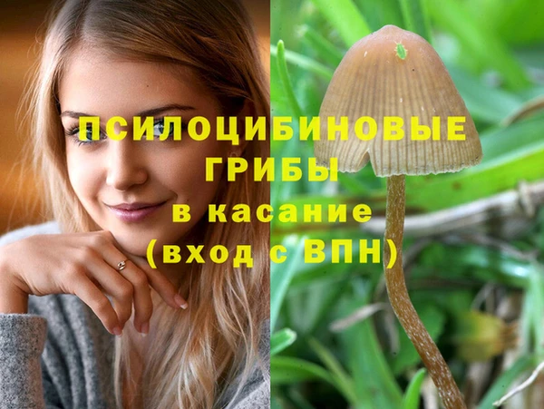 jwh Арсеньев