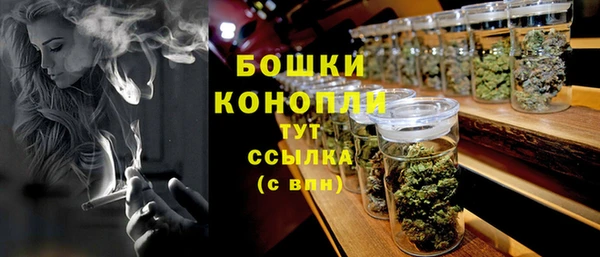 стафф Аркадак
