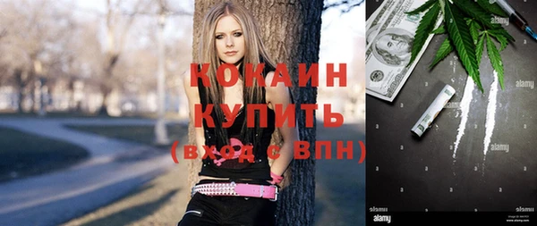 стафф Аркадак